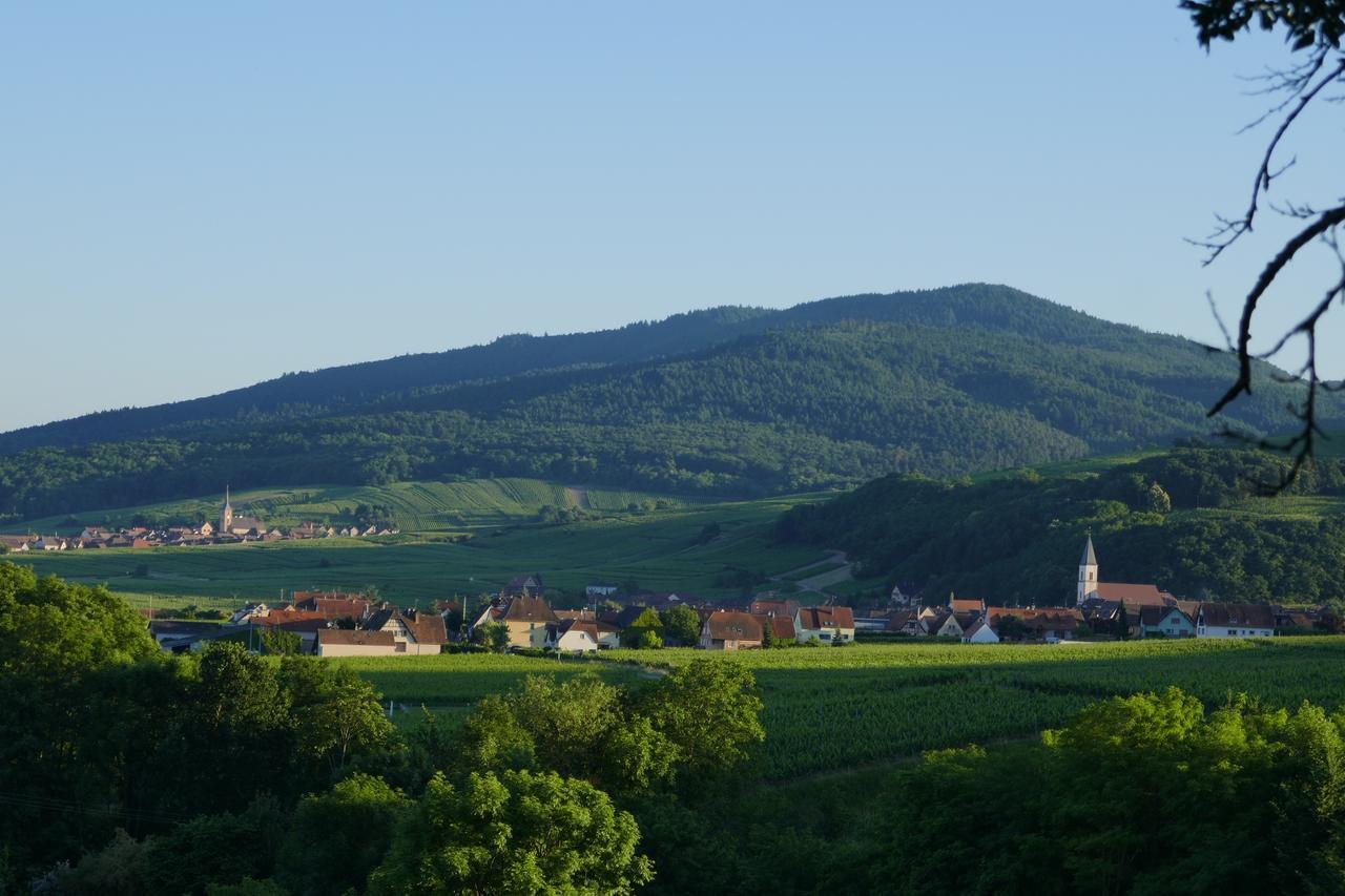 Gite Fleur De Vignes Итерсвилер Екстериор снимка
